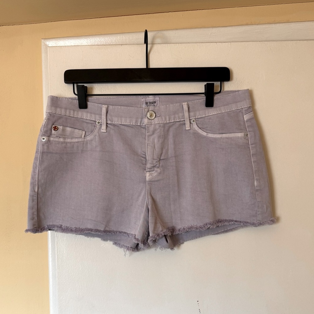 HUDSON shorts - size 32 - NWT